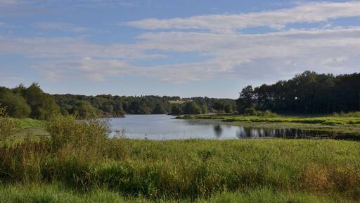 Retenue de la Chèze, étang de Saint-Thurial, pays de Rennes, Bretagne, France