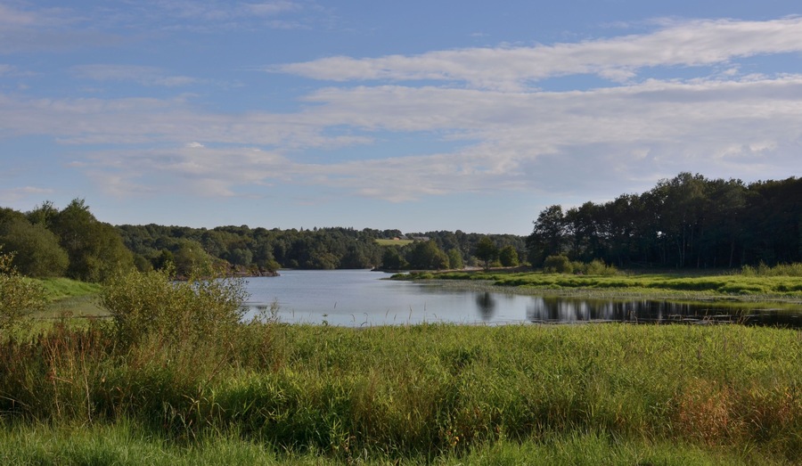 Retenue de la Chèze, étang de Saint-Thurial, pays de Rennes, Bretagne, France