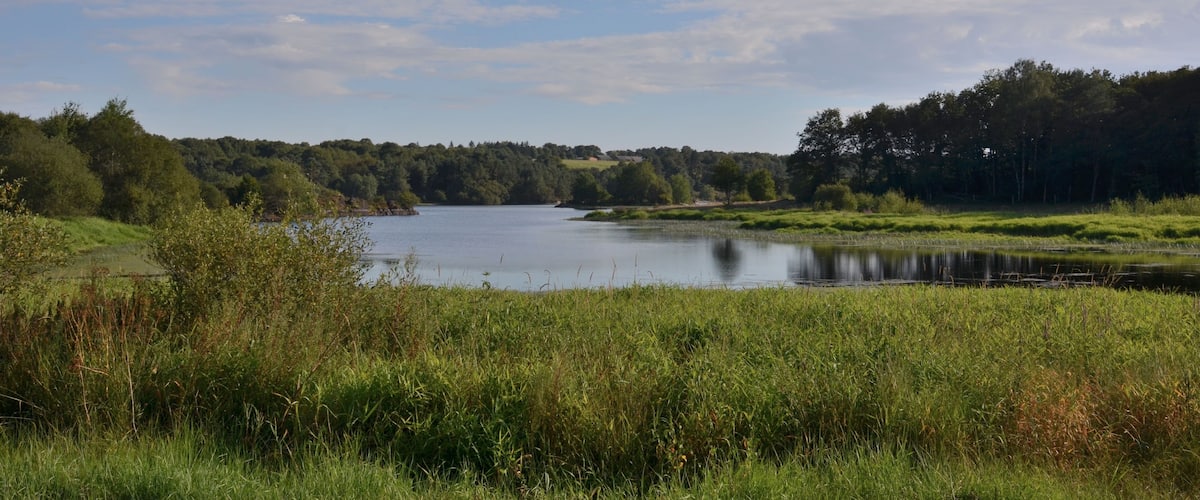 A calm lake surrounded by lush greenery and trees.