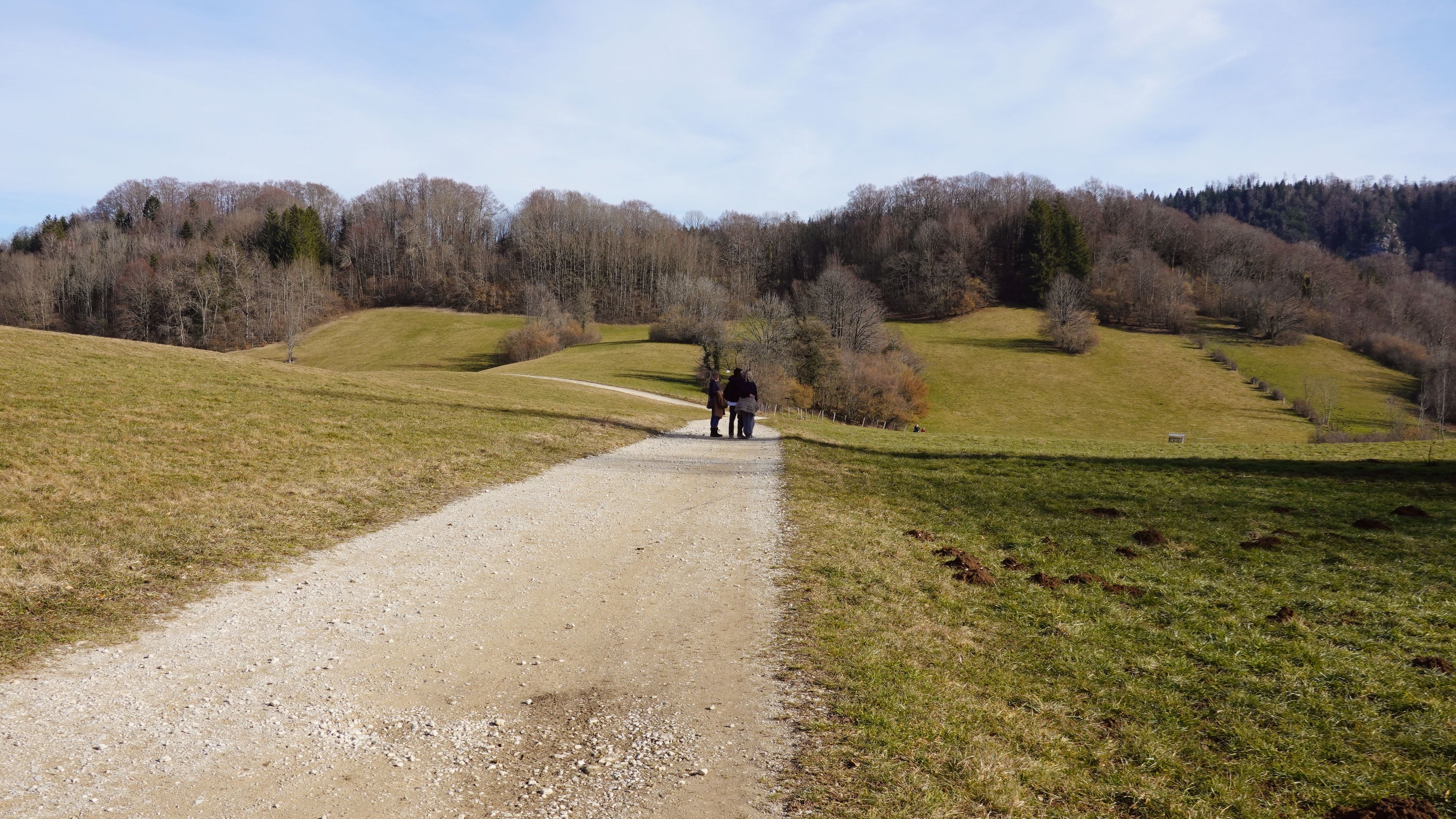 Een grindpad dat door een heuvelachtig landschap slingert, met enkele bomen en grasvelden.