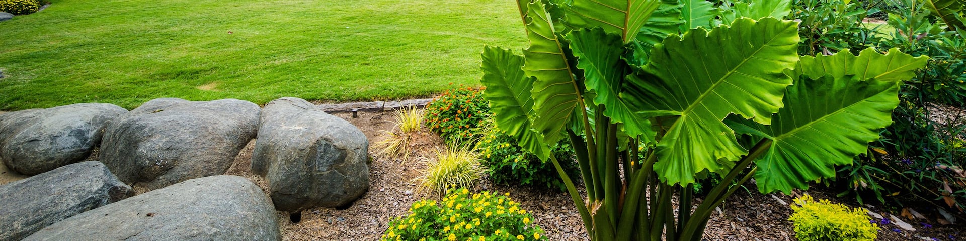 Gardens at Elizabeth Park, in Elizabeth, Charlotte, North Caroli