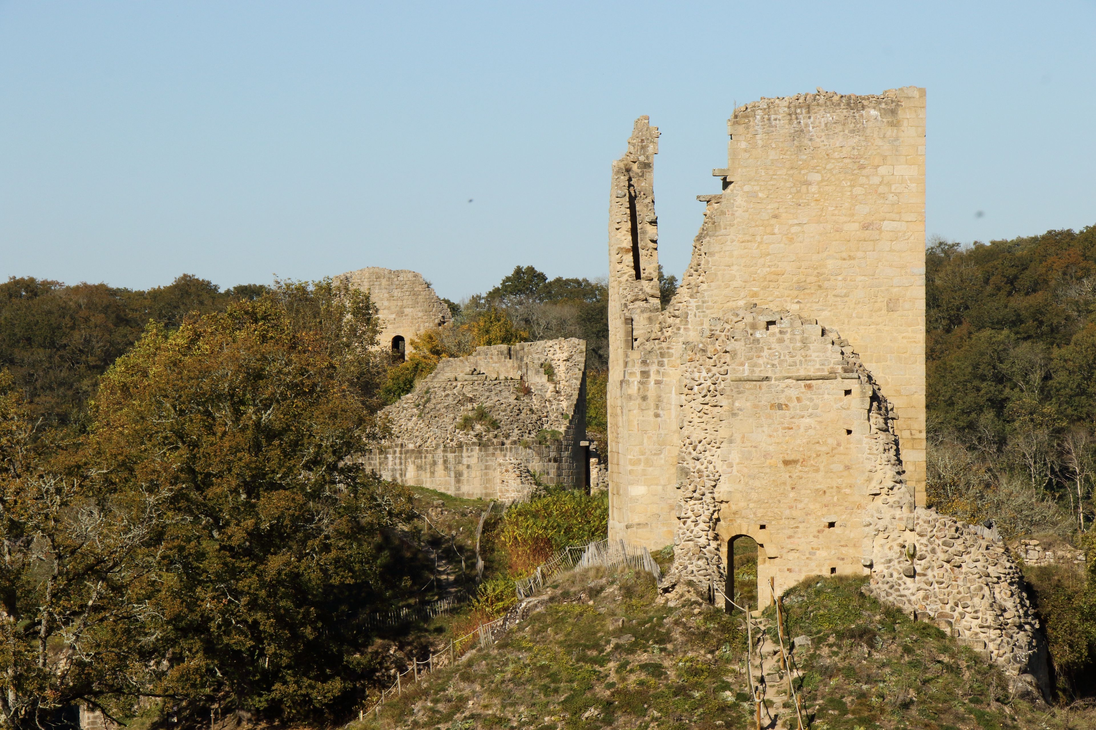 A medieval stone castle ruin surrounded by trees and hills.