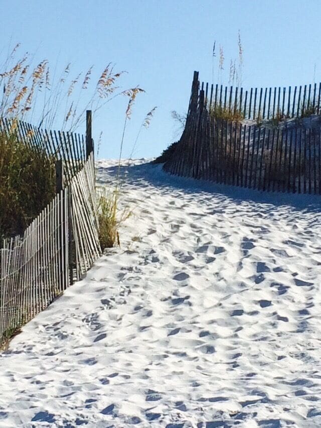Beautiful October day on the Gulf Coast #beach