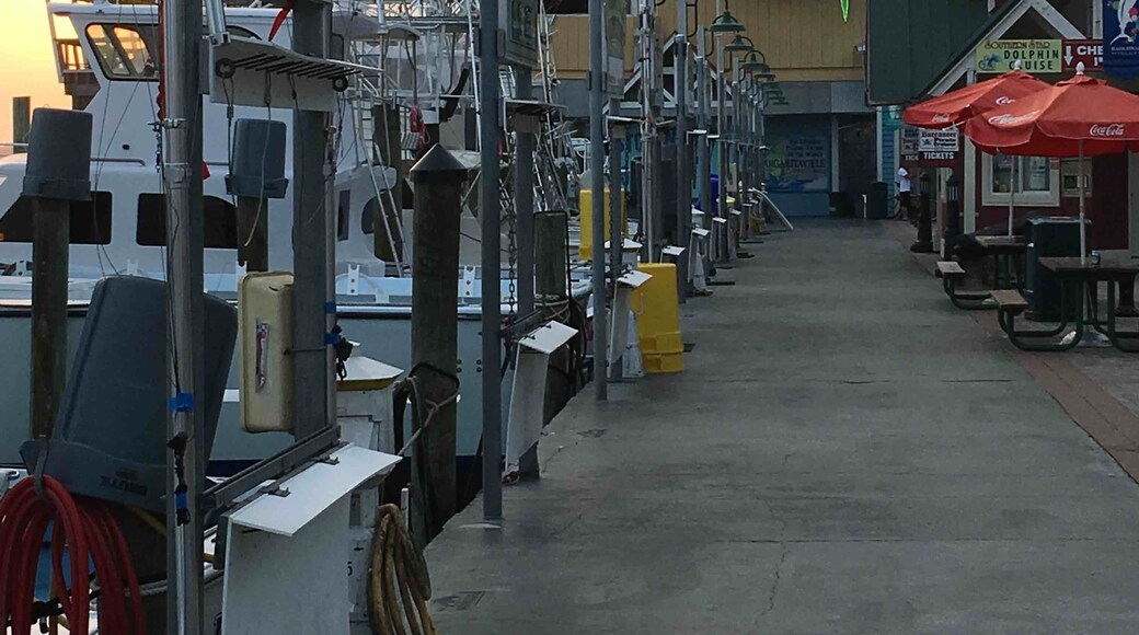 Didn’t find my lost shaker of salt but I found Margaritaville and that’s pretty much the same, right??