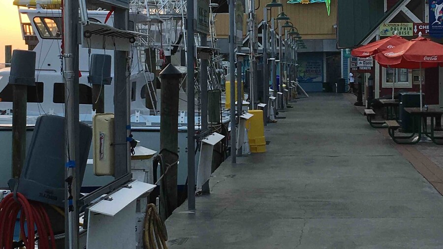 Didn’t find my lost shaker of salt but I found Margaritaville and that’s pretty much the same, right??