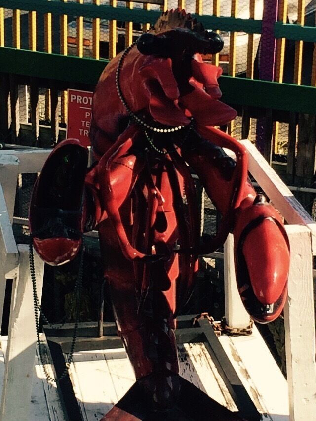 Huge crustacean overlooking gator beach