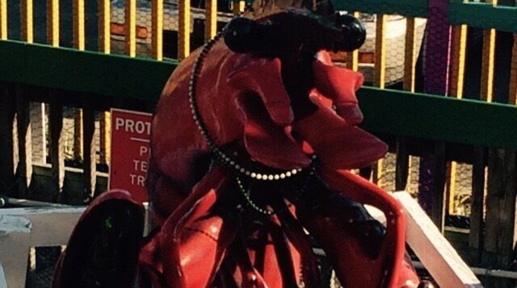 Huge crustacean overlooking gator beach