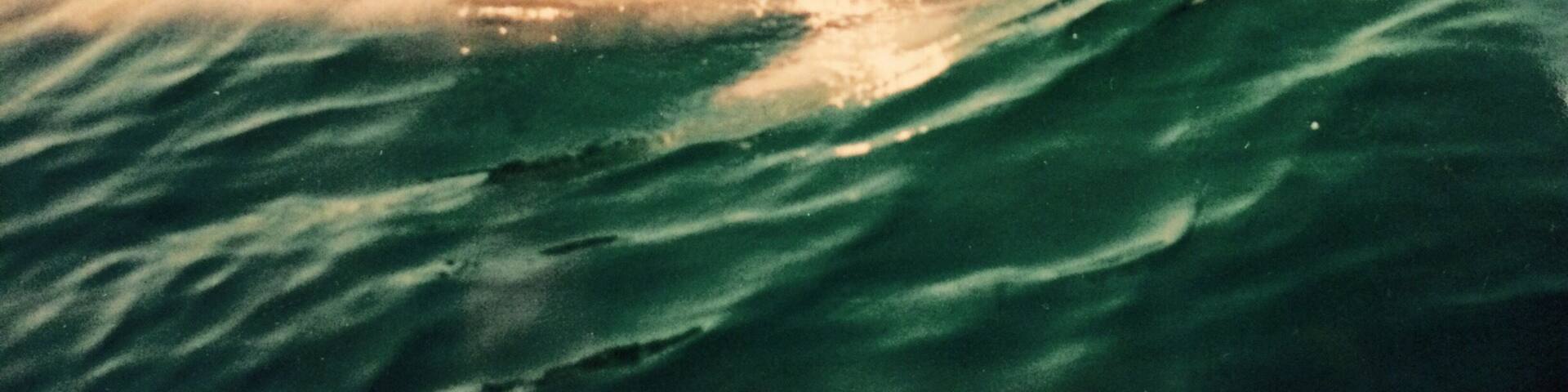 Dolphin sighting out in the east pass #gulfofmexico #destin