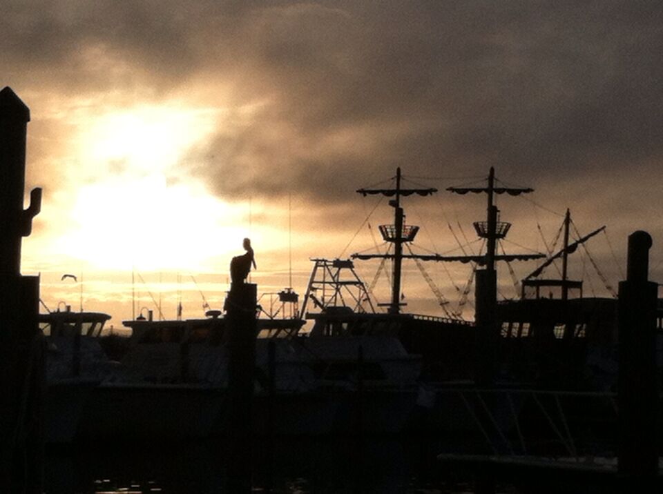 Pelican and the pirate ship at sunset in Destin Florida out at Harborwalk #beach #roadtrip