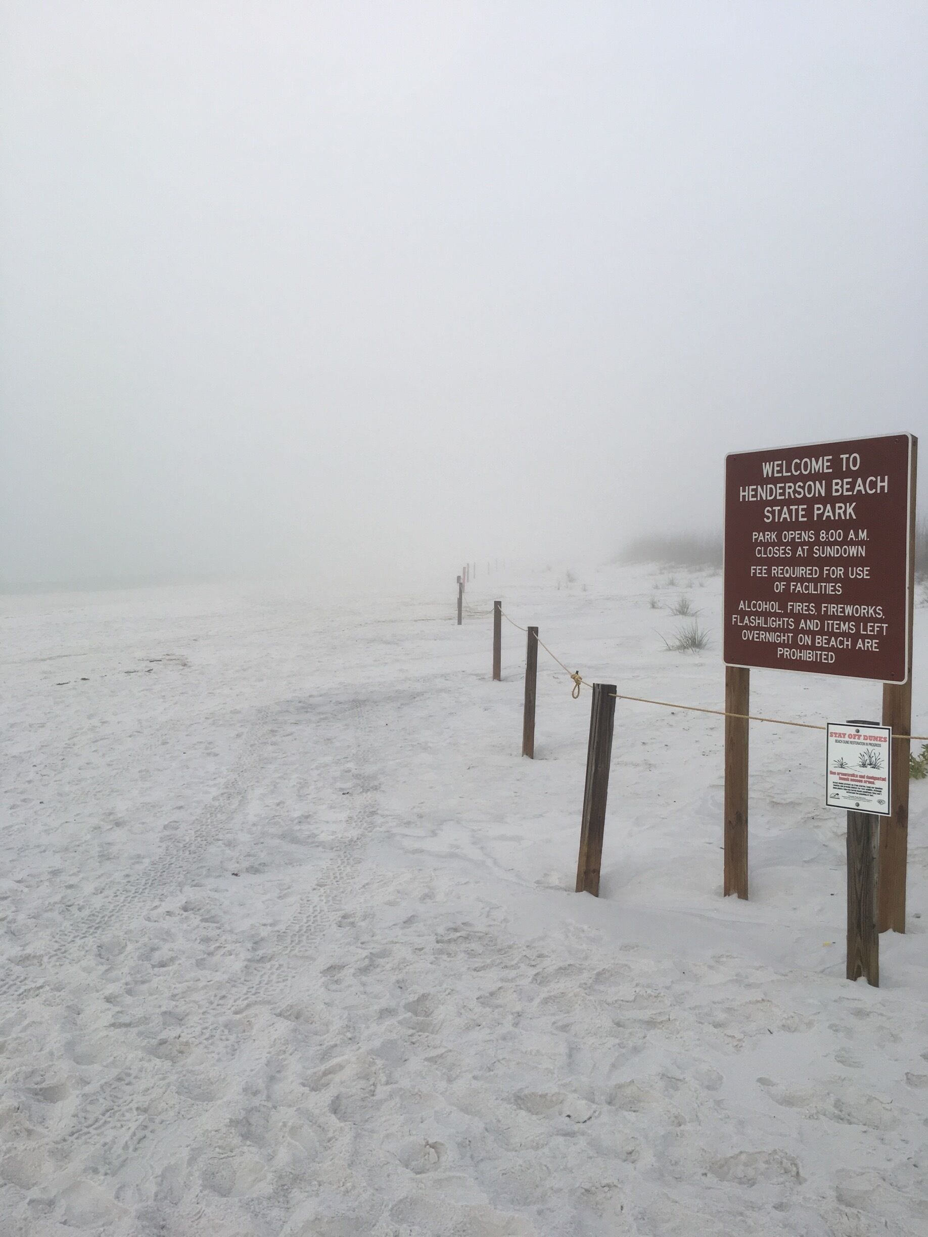 Henderson Park entrance in thick fog. Or is it snow???