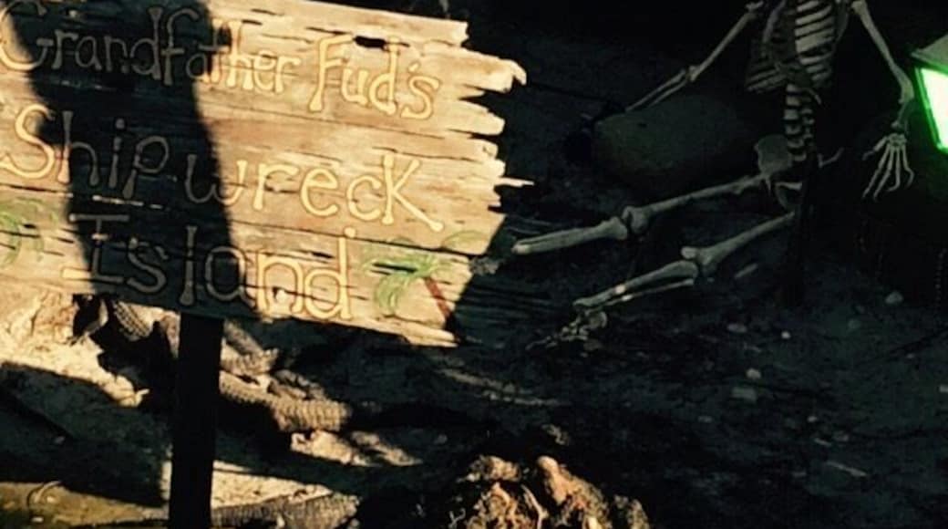 #roadside father fud gator beach Destin fl