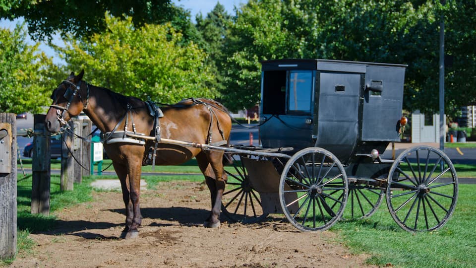 A horse-drawn carriage with a covered wagon, parked on a dirt path with grass and trees in the background.