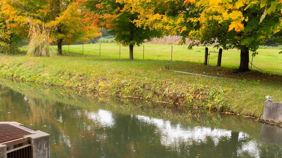 A row of empty boats docked by a calm river, surrounded by trees with autumn foliage.