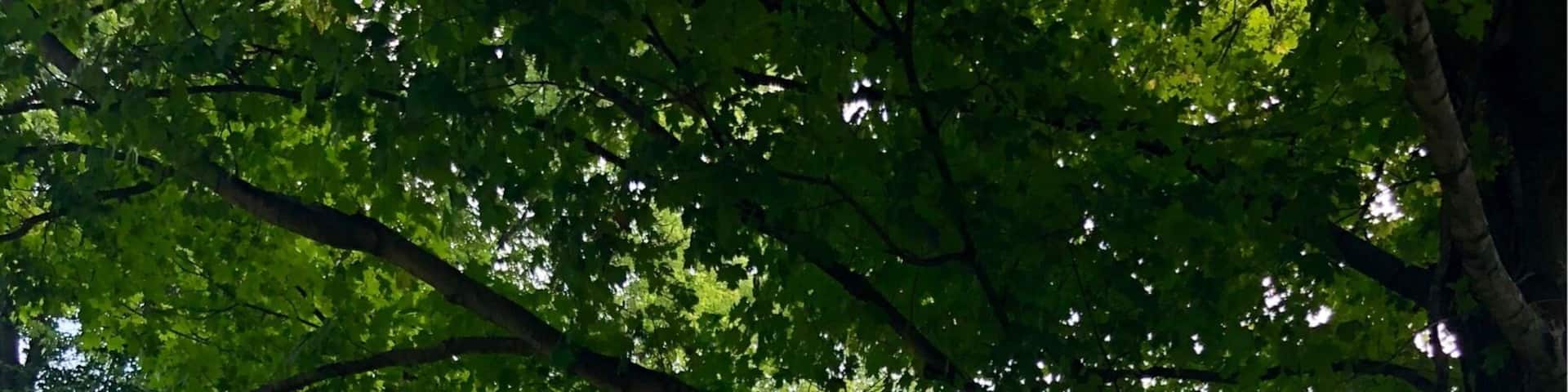 Such a pretty setting. We didn’t eat or stay here but took the time to checkout the stores and bakery.