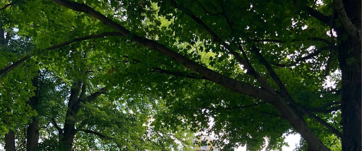 Such a pretty setting. We didn’t eat or stay here but took the time to checkout the stores and bakery.