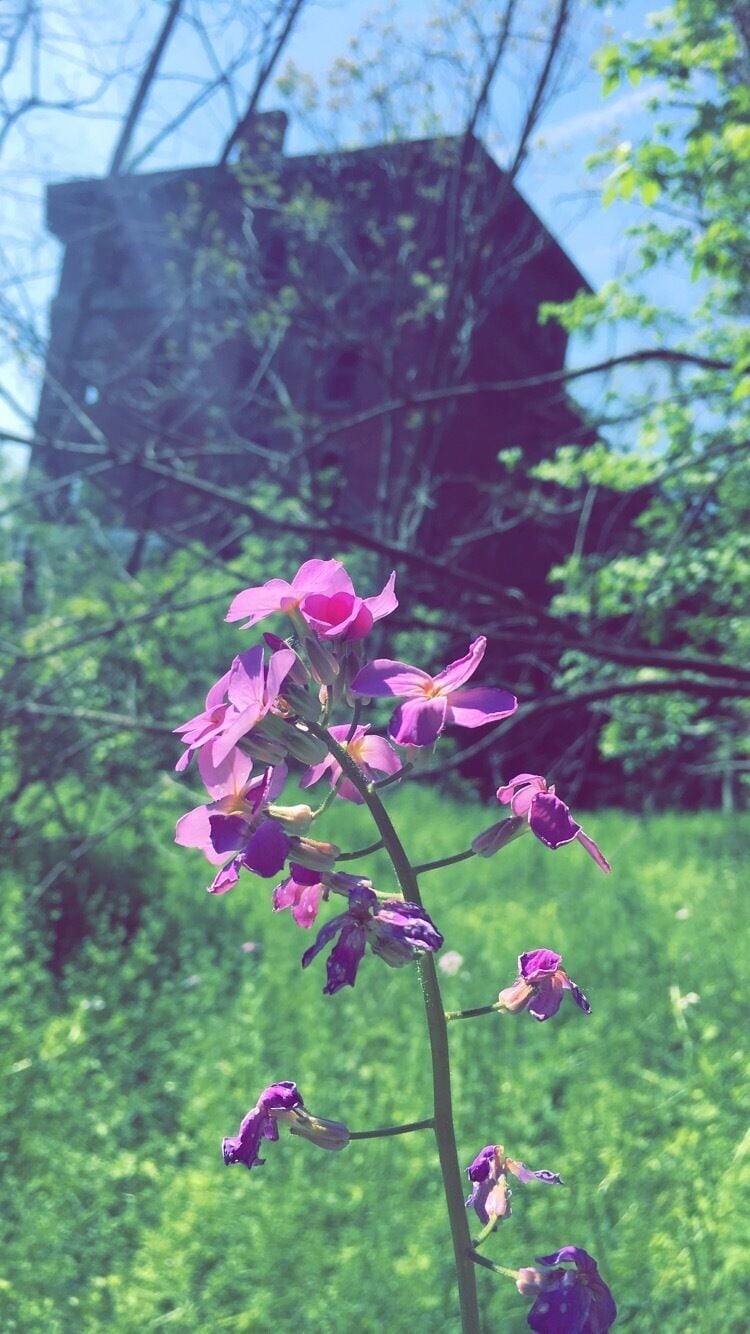 could have used another 2 days to look through every room and all the neighboring outbuildings/houses. fuck vandals for making places like this gem illegal to appreciate - 🏰 “The Castle On The Hill” 