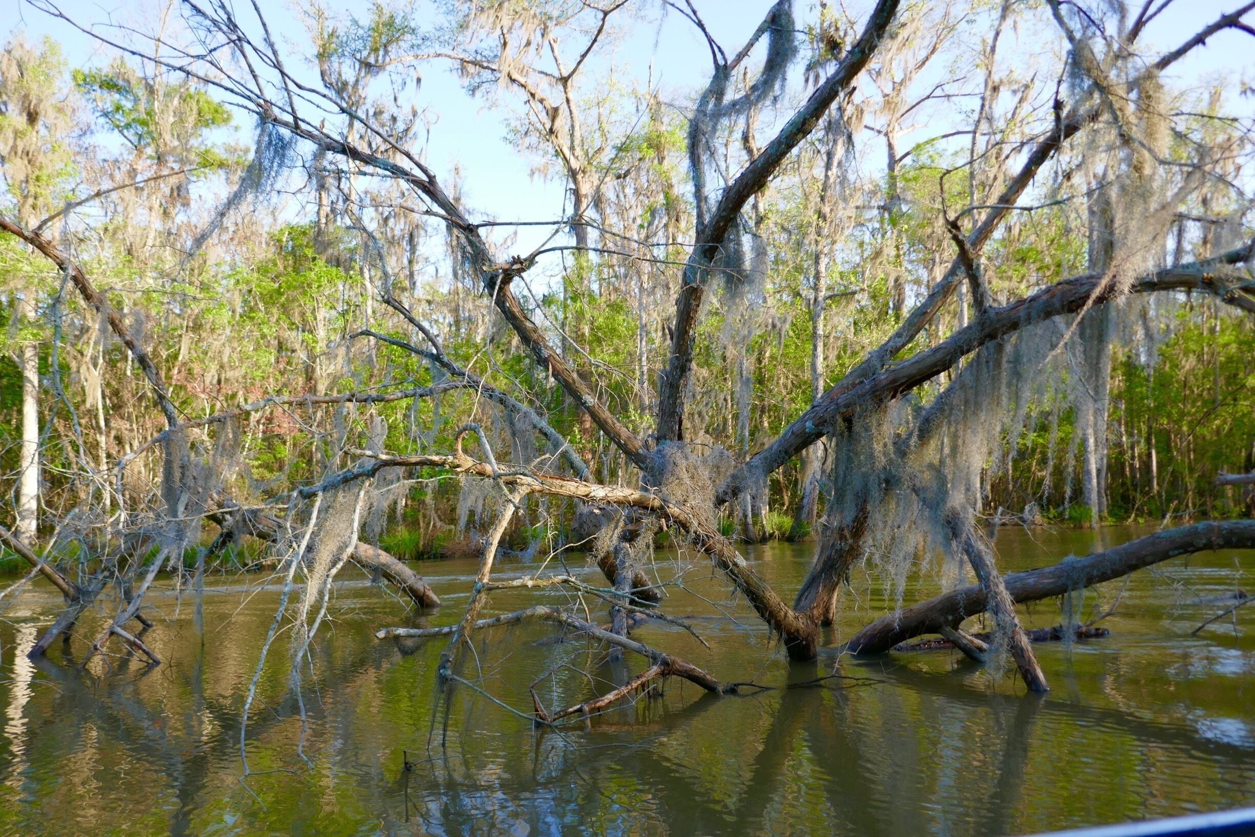 Strangely beautiful...