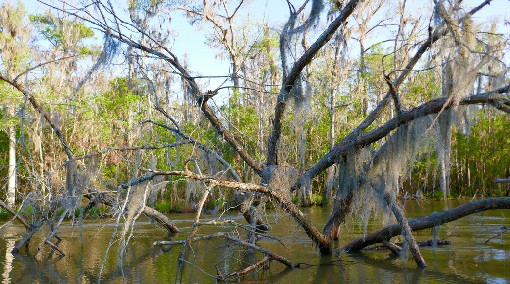 Strangely beautiful...