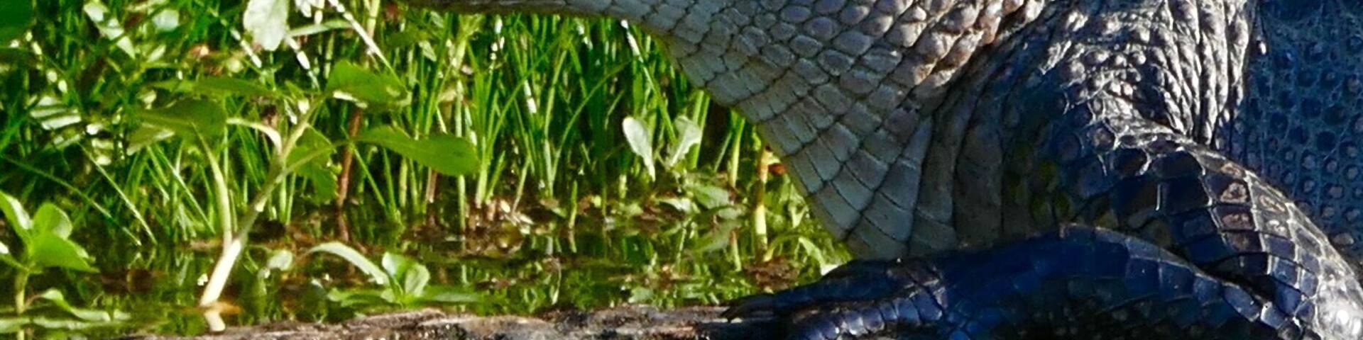 Smiling for a close up...