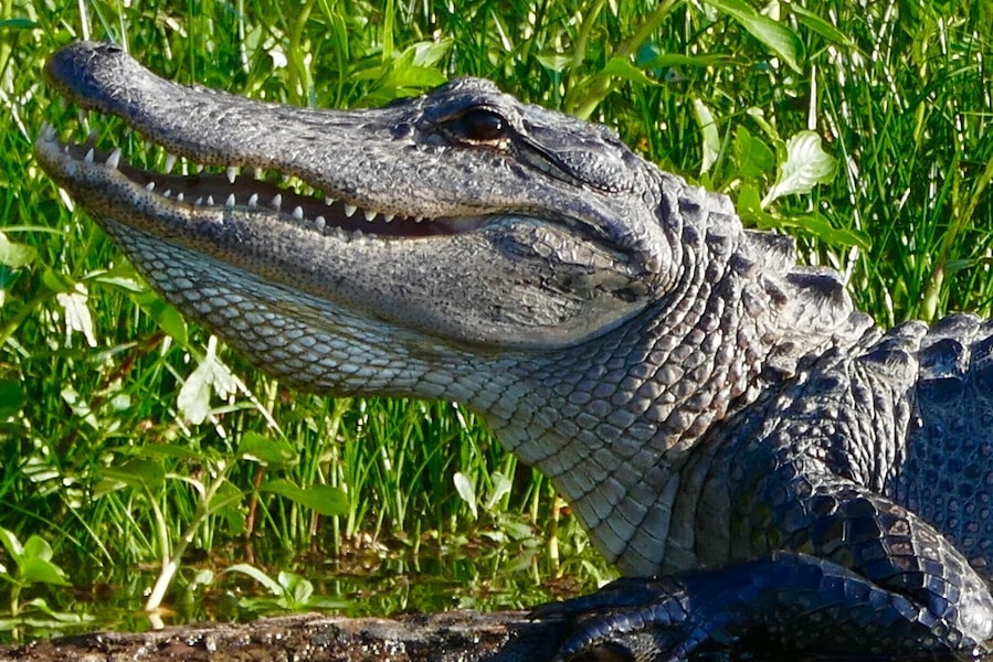 Smiling for a close up...