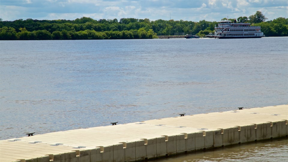 A river with a wooden dock and a large white boat in the background.