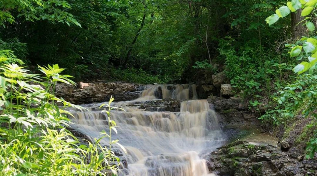 A small waterfall in the park.