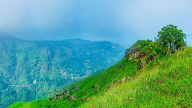 Panorama of Ella Rock in fog
