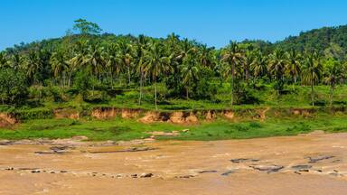 Maha Oya River at the Pinnawala Elephant Orphanage near Kegalle in the Sri Lanka Highlands, Sri Lanka, Asia