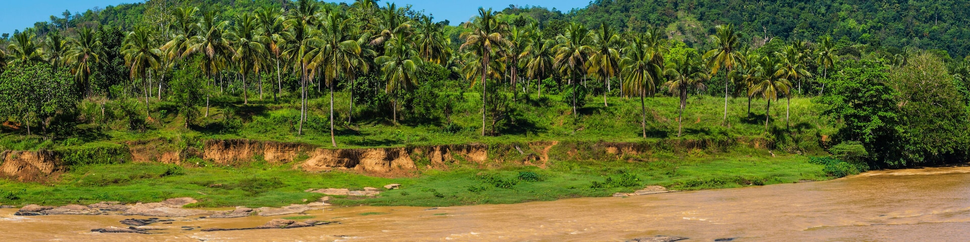 Maha Oya River at the Pinnawala Elephant Orphanage near Kegalle in the Sri Lanka Highlands, Sri Lanka, Asia