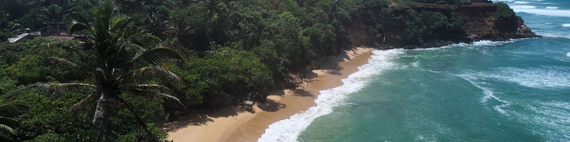 Un paisaje costero con una playa arenosa, densas palmeras y un acantilado rocoso con vista al océano.