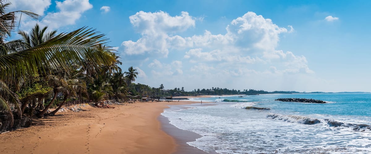 A sandy beach with palm trees, a clear blue sky, and calm ocean waves.