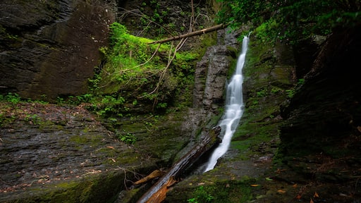 Silverthread narrow waterfall slow shutter speed in forest flowing down rocks with green moss horizontal
