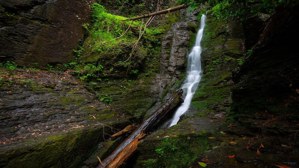 A waterfall cascading over moss-covered rocks in a forested area.