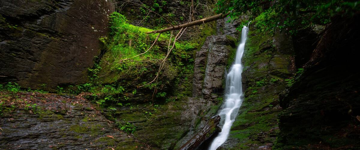 A waterfall cascading over moss-covered rocks in a forested area.