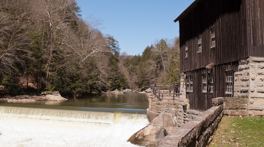 A river with a dam, a wooden building, and a forested area.