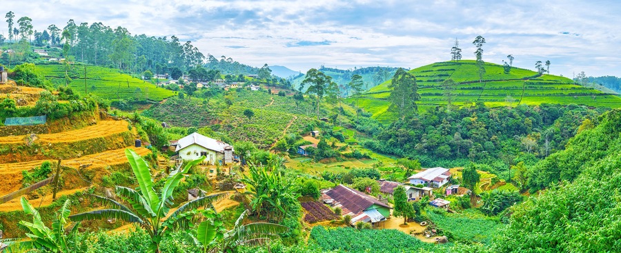 The farm lands in Sri Lankan mountains in Pusselawa