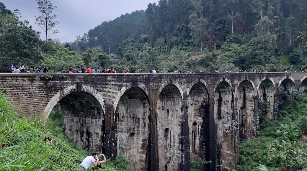 #Trovember
Historical nine arches bridge of Sri Lanka built in 1921.Only using stone ,briks and cement.Total leangth is 300ft,width 25ft,hight 80ft