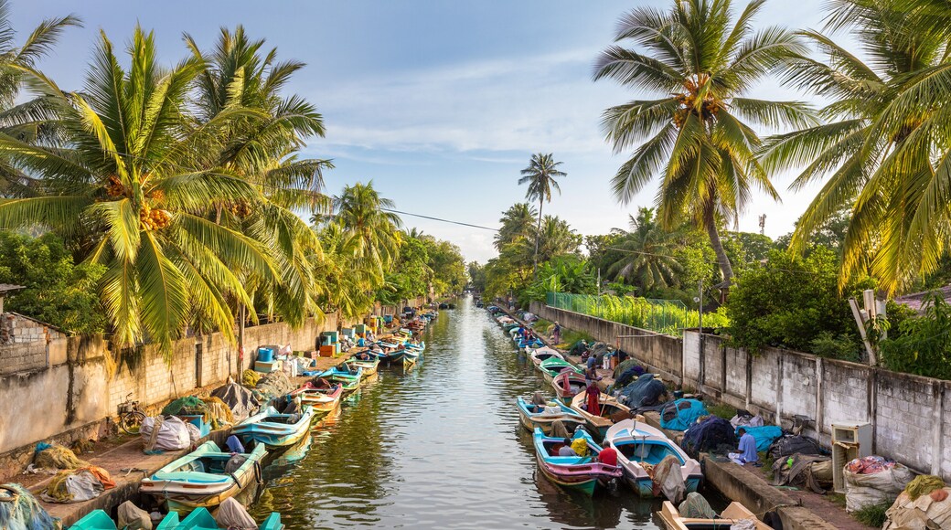The colorful boats are docked along the banks of Hamilton's Canal in fishing village district of Negombo, Sri Lanka.