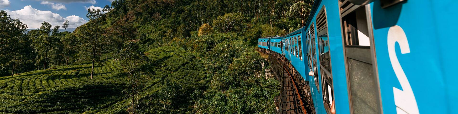 Blue train in Sri Lanka, panorama. Train from Ella in Nuwara Eliya in Sri Lanka island. Travel to Sri Lanka, the blue train travels through tea plantations. Traveling by train. Copy space