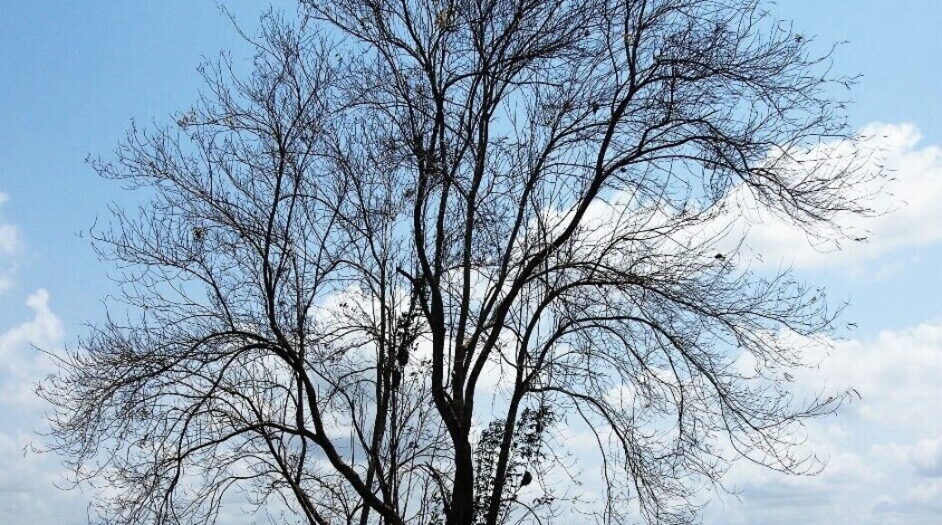 This place is situated in a rural village of North-Western province. Great place for have a bath and enjoy. No many people there. But 100% safe because life guards are around.