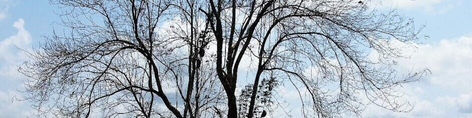 This place is situated in a rural village of North-Western province. Great place for have a bath and enjoy. No many people there. But 100% safe because life guards are around.