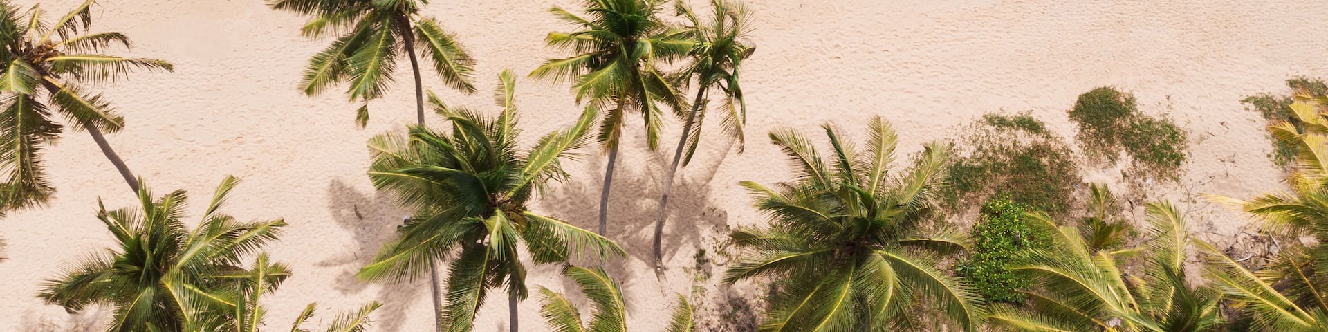 A beach with clear turquoise water, sandy shore, and palm trees.