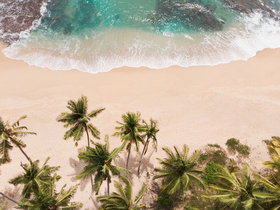 Una playa con agua turquesa cristalina, orilla de arena y palmeras.