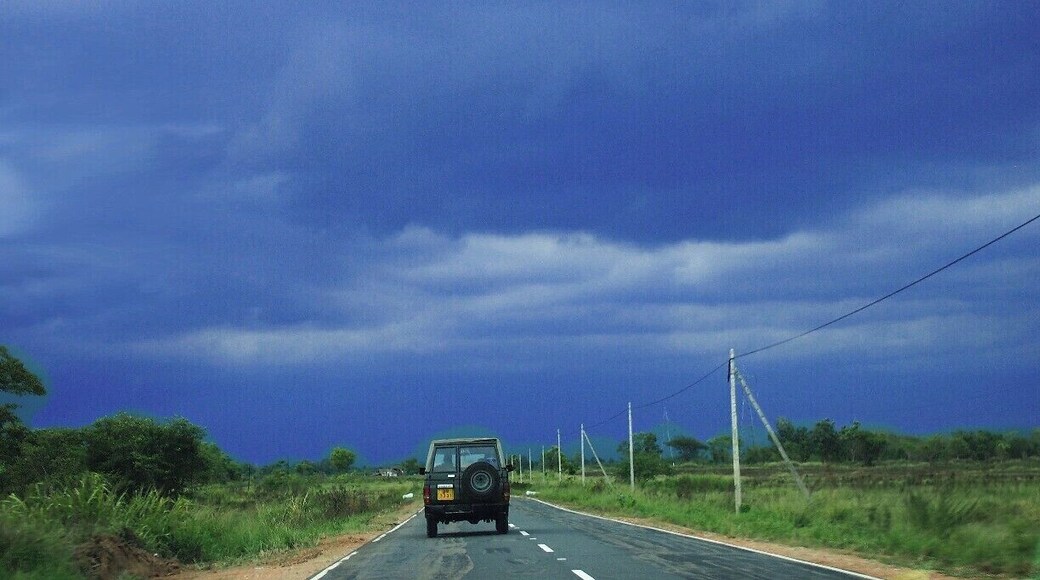 When we reached to Madawachchiya, the sky was dark grey and it signed us a huge rain. This vehicle owned by the Sri Lankan army.
Most of the time vehicles are rare on this country-side roads in northern part of Sri Lanka.