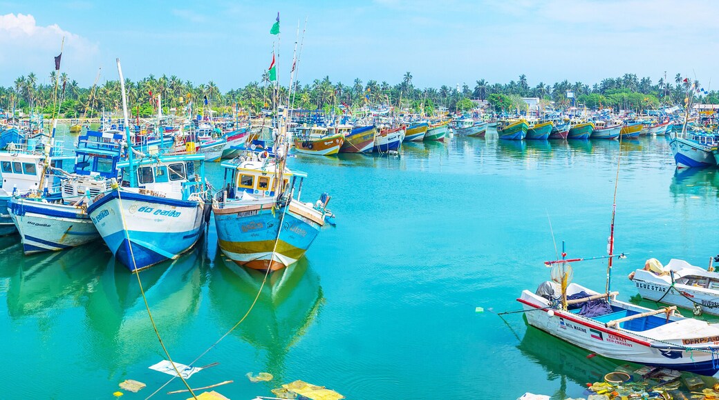 The scenic Mirissa fishing harbors of Sri Lanka
