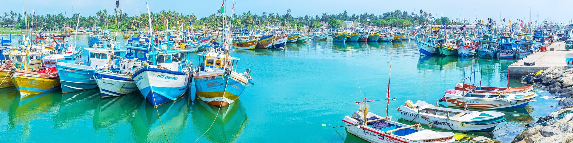 The scenic Mirissa fishing harbors of Sri Lanka