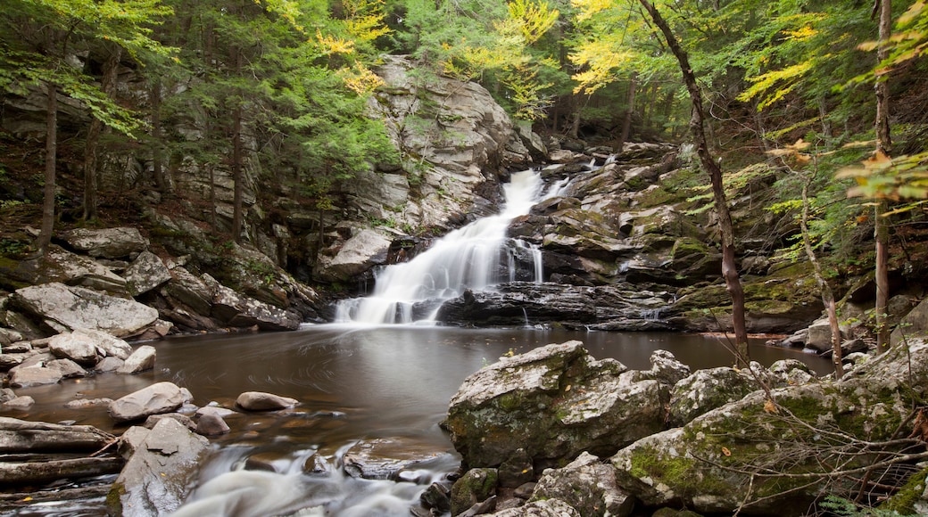 A view of Wahconah Falls in the Berkshire Mountains of western Massachusetts.