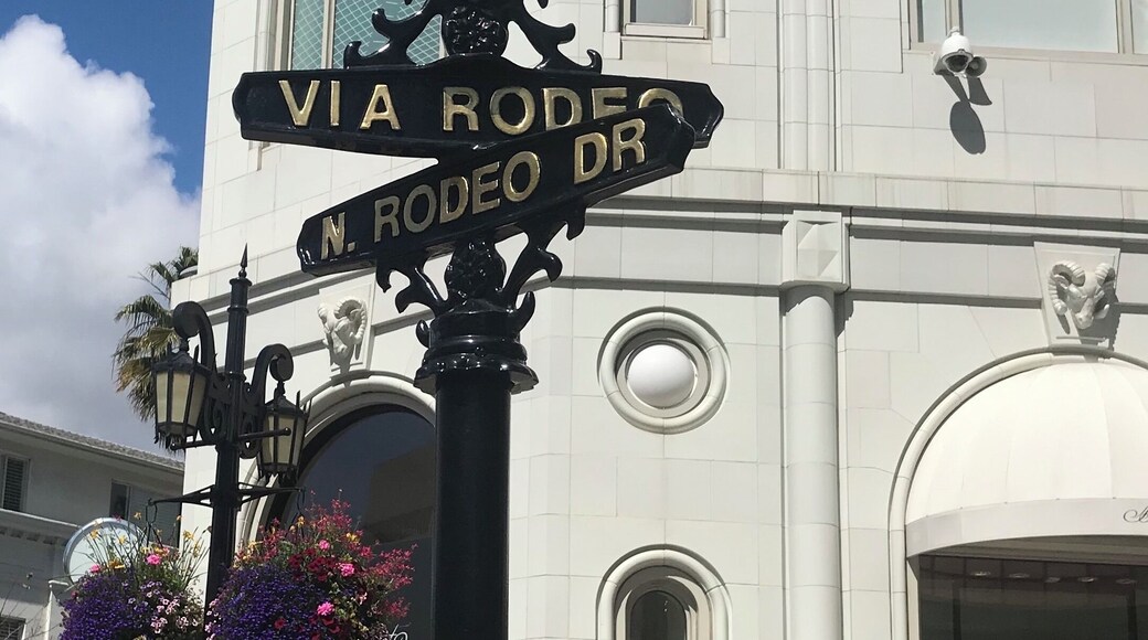 Famous shopping district on Rodeo Dr. Beverly Hills #Trovember