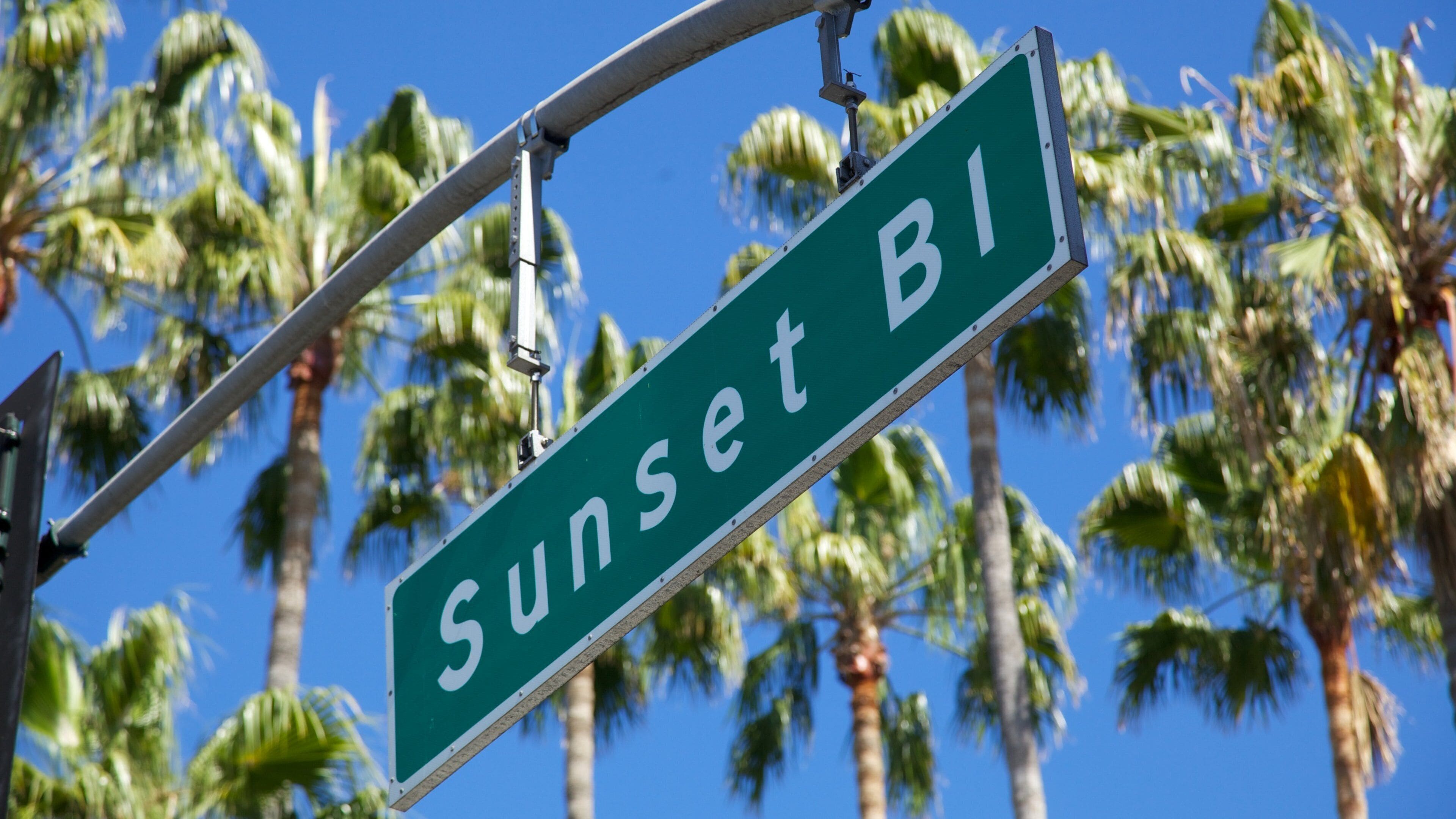 Palm trees line Sunset Boulevard in Beverly Hills, creating a vibrant California atmosphere under a clear blue sky