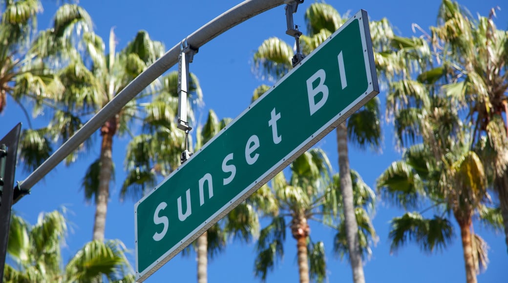Palm trees line Sunset Boulevard in Beverly Hills, creating a vibrant California atmosphere under a clear blue sky